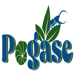 logo_pegase_060923-7(1)